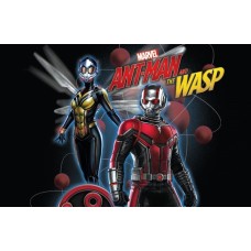 154205 vafa AntMan si the Wasp 30x20cm